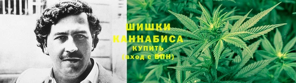 гидра Абаза