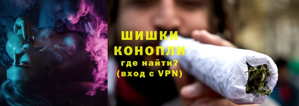 ГАЛЛЮЦИНОГЕННЫЕ ГРИБЫ Алзамай