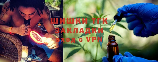 ГАЛЛЮЦИНОГЕННЫЕ ГРИБЫ Алзамай